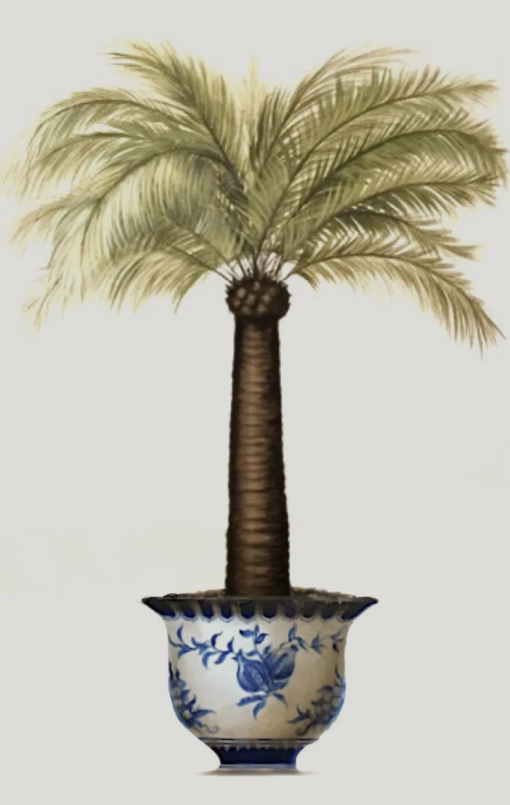 Ginger Jar Palm Tree I and II - Image 4